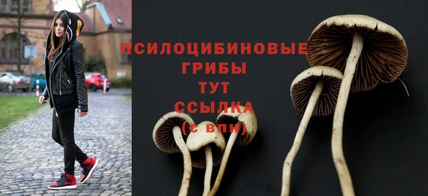 индика Балахна