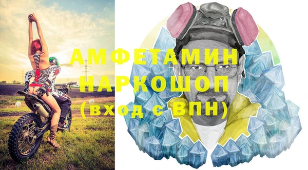 индика Балахна