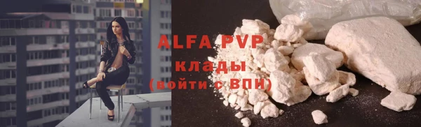 индика Балахна