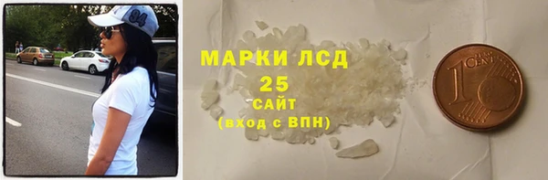 индика Балахна