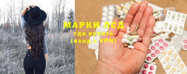 индика Балахна