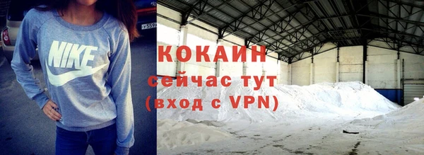 индика Балахна